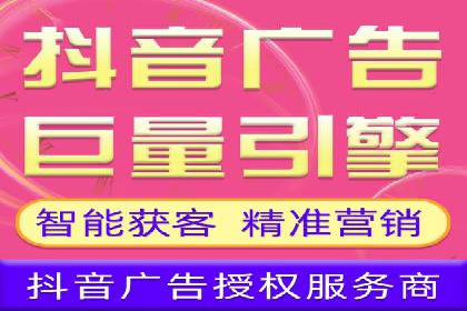 专业SEM服务托管方案案例分析